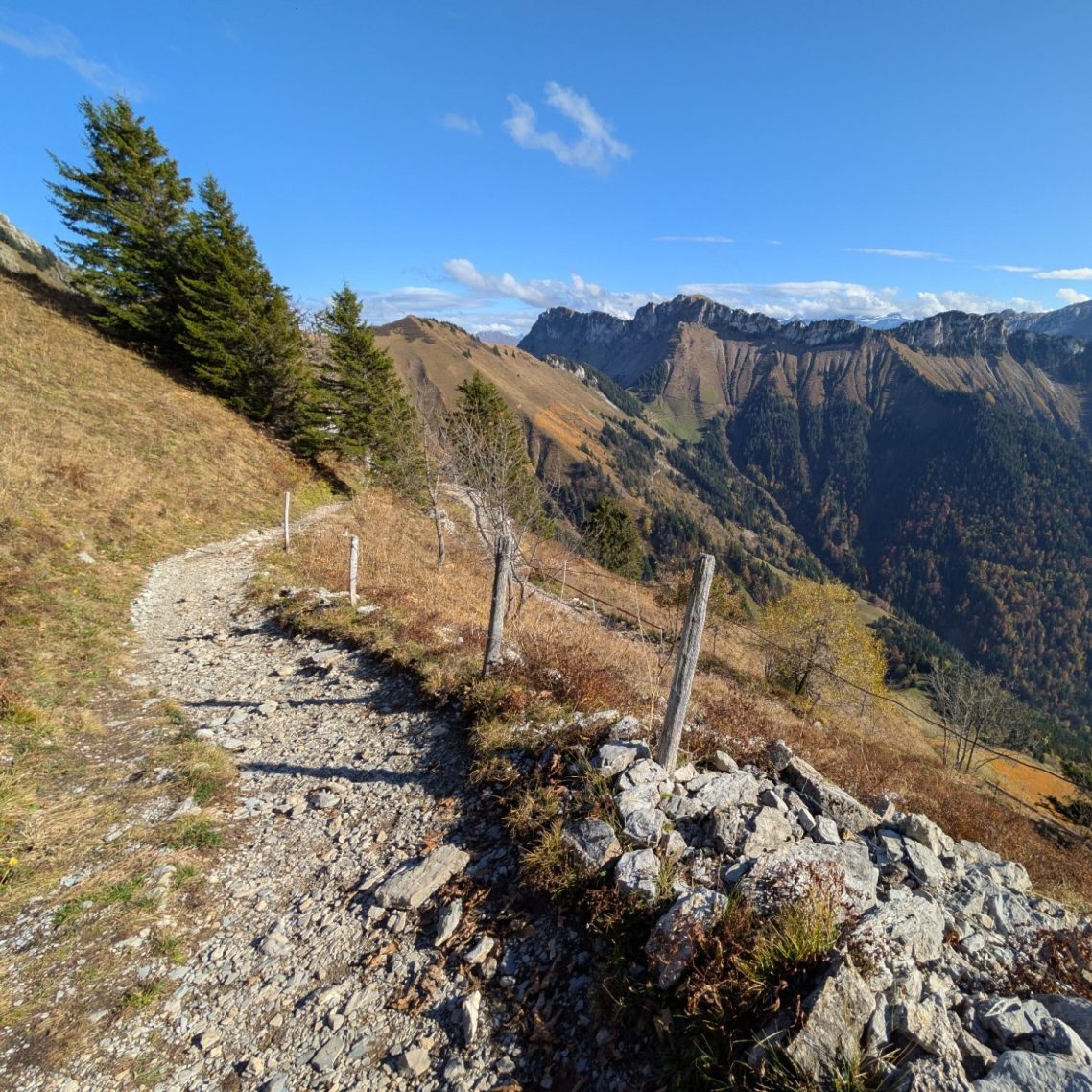 Growing and Healing as a Journey